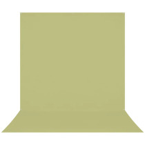 Westcott X-Drop Pro Wrinkle-Resistant Backdrop - Light Green Moss (8' x 13')